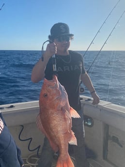 Red Snapper Fishing in Freeport, Texas