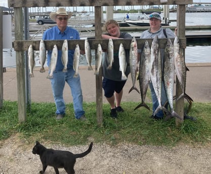 Kingfish, Speckled Trout Fishing in Rockport, Texas