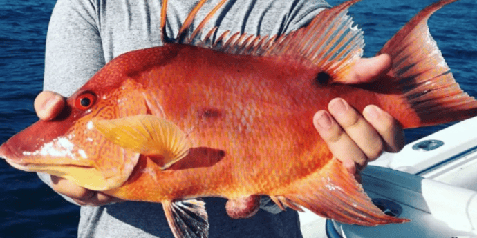 Fishing in Tierra Verde, Florida