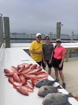 Triggerfish, Vermillion Snapper Fishing in Orange Beach, Alabama