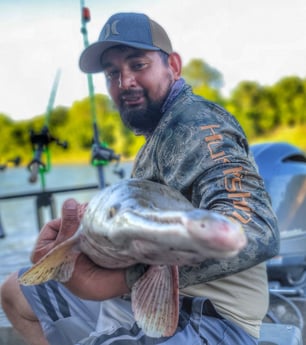 Alligator Gar fishing in Dallas, Texas