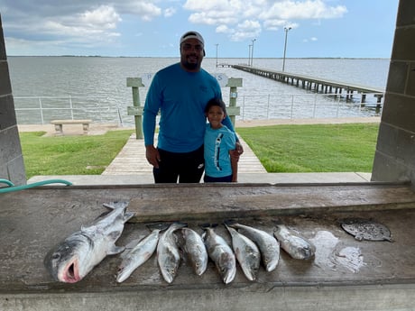 Black Drum, Sheepshead, Speckled Trout Fishing in Palacios, Texas