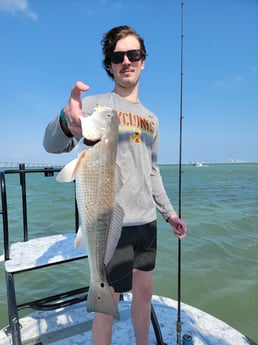 Redfish Fishing in Rio Hondo, Texas