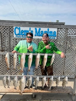 Black Drum, Redfish Fishing in Corpus Christi, Texas