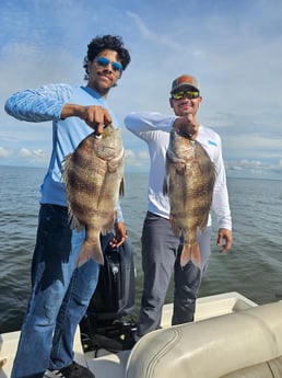 Fishing in New Orleans, Louisiana