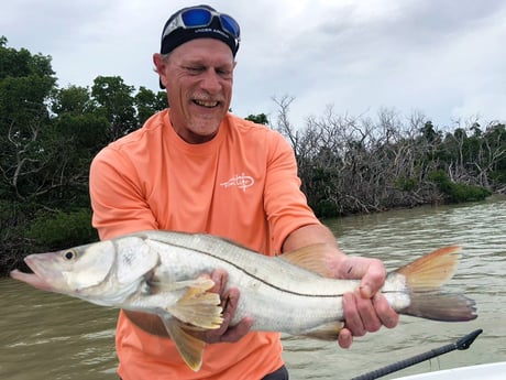 Snook fishing in Tavernier, Florida