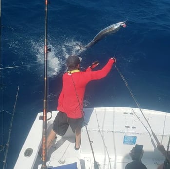 Blue Marlin fishing in Key West, Florida