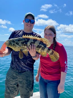 Goliath Grouper fishing in Naples, Florida