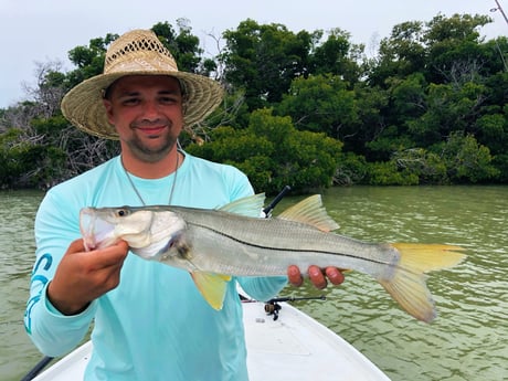 Snook fishing in Tavernier, Florida