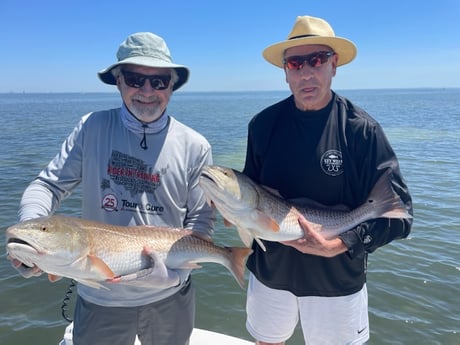 Redfish fishing in St. Petersburg, Florida