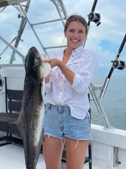 Cobia fishing in Biloxi, Mississippi