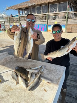 Flounder, Speckled Trout Fishing in Orange Beach, Alabama