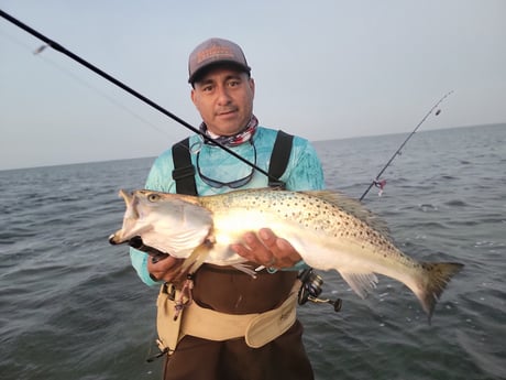 Speckled Trout Fishing in Rio Hondo, Texas