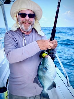 Triggerfish Fishing in Pensacola, Florida