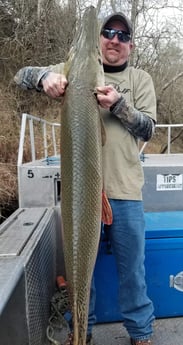 Alligator Gar fishing in Livingston, Texas