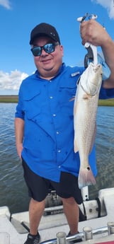 Redfish Fishing in Galveston, Texas