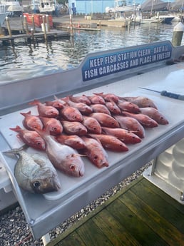 Red Snapper fishing in Destin, Florida