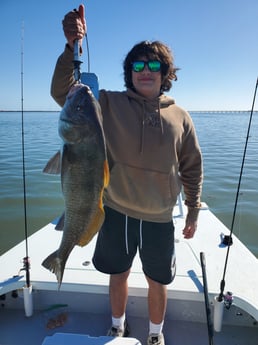 Black Drum Fishing in South Padre Island, Texas