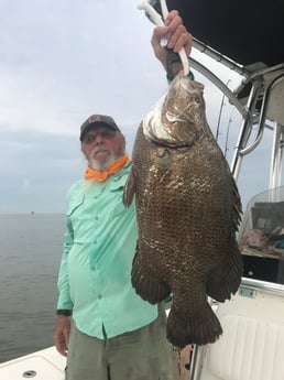 Tripletail fishing in Venice, Louisiana