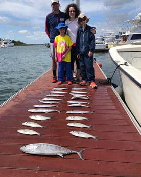 Little Tunny / False Albacore, Spanish Mackerel fishing in Wilmington, North Carolina