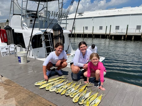 Mahi Mahi Fishing in Pompano Beach, Florida