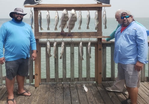 Black Drum, Speckled Trout / Spotted Seatrout fishing in Port Isabel, Texas