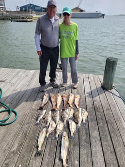 Black Drum, Redfish, Speckled Trout Fishing in Port O&#039;Connor, Texas