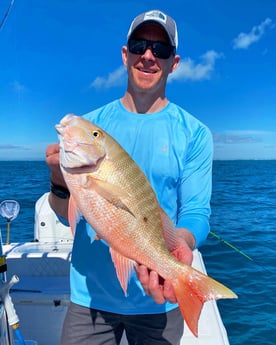 Mutton Snapper fishing in Islamorada, Florida