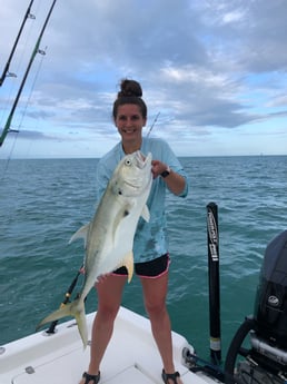 Jack Crevalle fishing in Key West, Florida