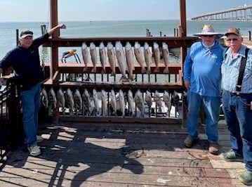 Black Drum, Redfish, Speckled Trout Fishing in Corpus Christi, Texas