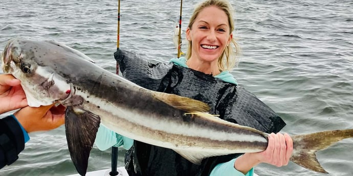 Cobia fishing in Biloxi, Massachusetts