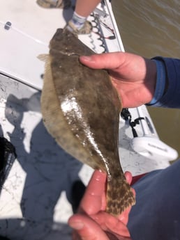 Flounder fishing in Matagorda, Texas