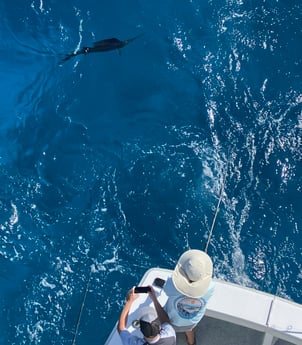 Fishing in Islamorada, Florida