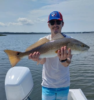 Redfish Fishing in Freeport, Florida