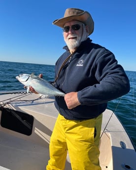 Little Tunny / False Albacore Fishing in Jacksonville, Florida