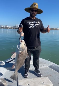 Black Drum fishing in Aransas Pass, Texas