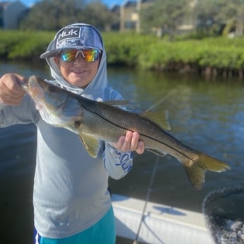 Snook Fishing in Sarasota, Florida