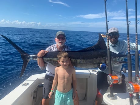 Blue Marlin Fishing in Punta Cana, Dominican Republic