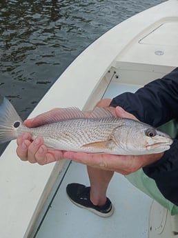 Fishing in Melbourne, Florida