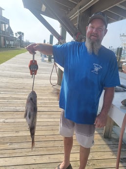 Sheepshead Fishing in Gulf Shores, Alabama