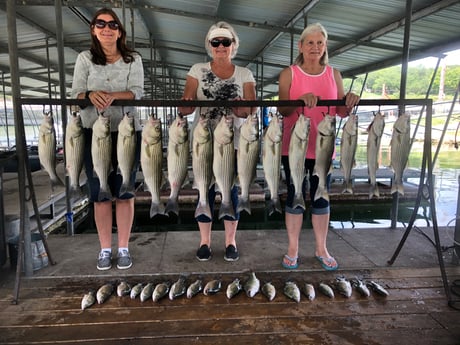 Largemouth Bass fishing in Whitney, Texas