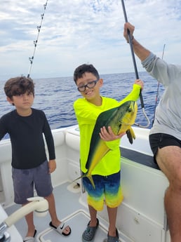 Mahi Mahi / Dorado fishing in Fort Lauderdale, Florida