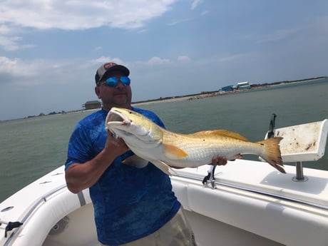 Barracuda, King Mackerel / Kingfish, Red Snapper fishing in Port O&#039;Connor, Texas