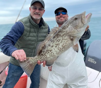 Gag Grouper fishing in Clearwater, Florida