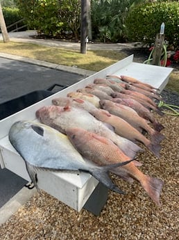 Fishing in Sarasota, Florida