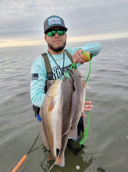 Redfish Fishing in Rio Hondo, Texas