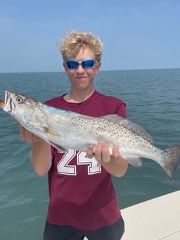 Speckled Trout / Spotted Seatrout Fishing in South Padre Island, Texas