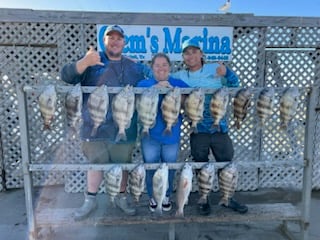 Black Drum, Redfish, Sheepshead Fishing in Corpus Christi, Texas