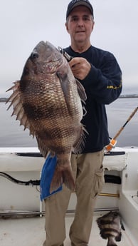 Sheepshead Fishing in