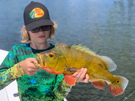 Peacock Bass fishing in Palm Beach, Florida, USA